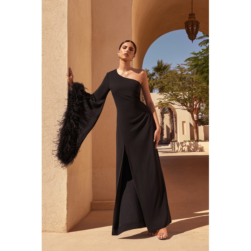 Armina | Black One-Shoulder Feather-Trim Maxi Dress