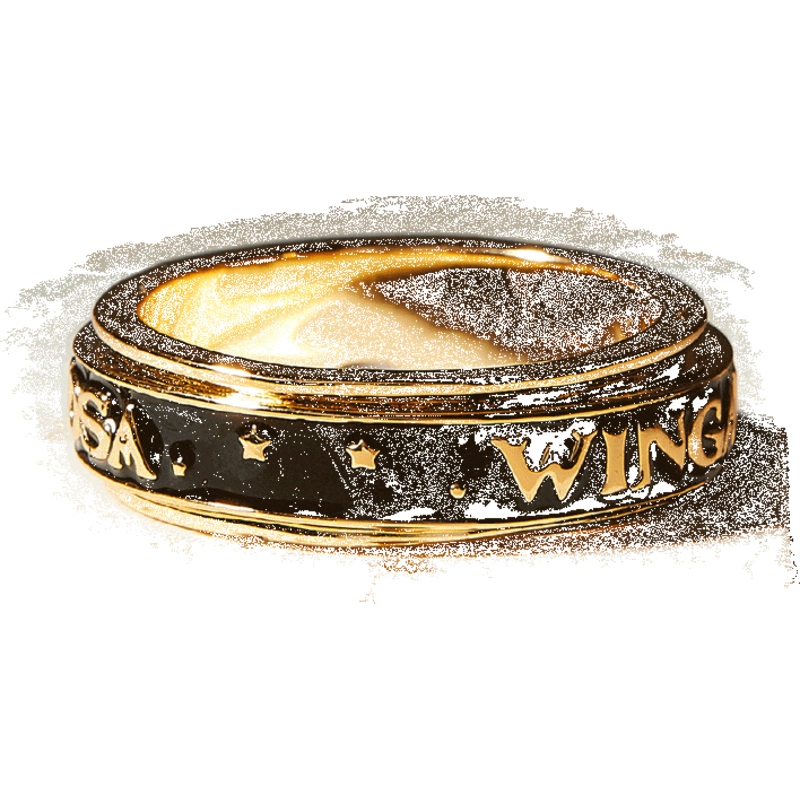 Wingardium Leviosa Fidget Ring