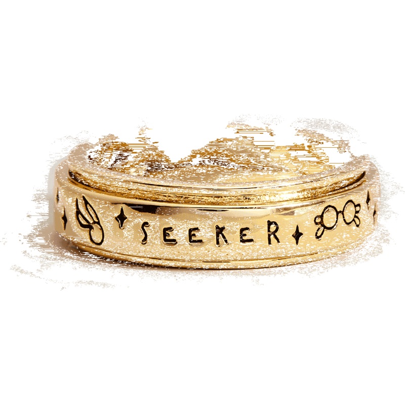 Seeker Fidget Ring