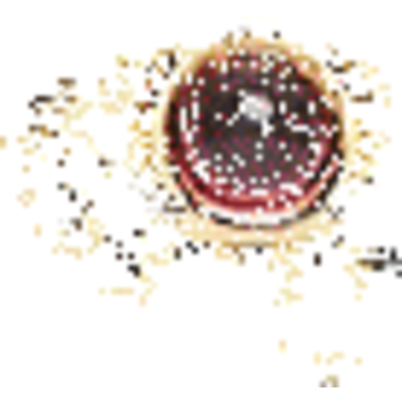 Mystics Mixed Gold Charm Bracelet