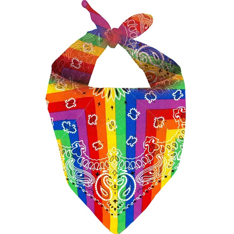 Rainbow Cowboy Bandana