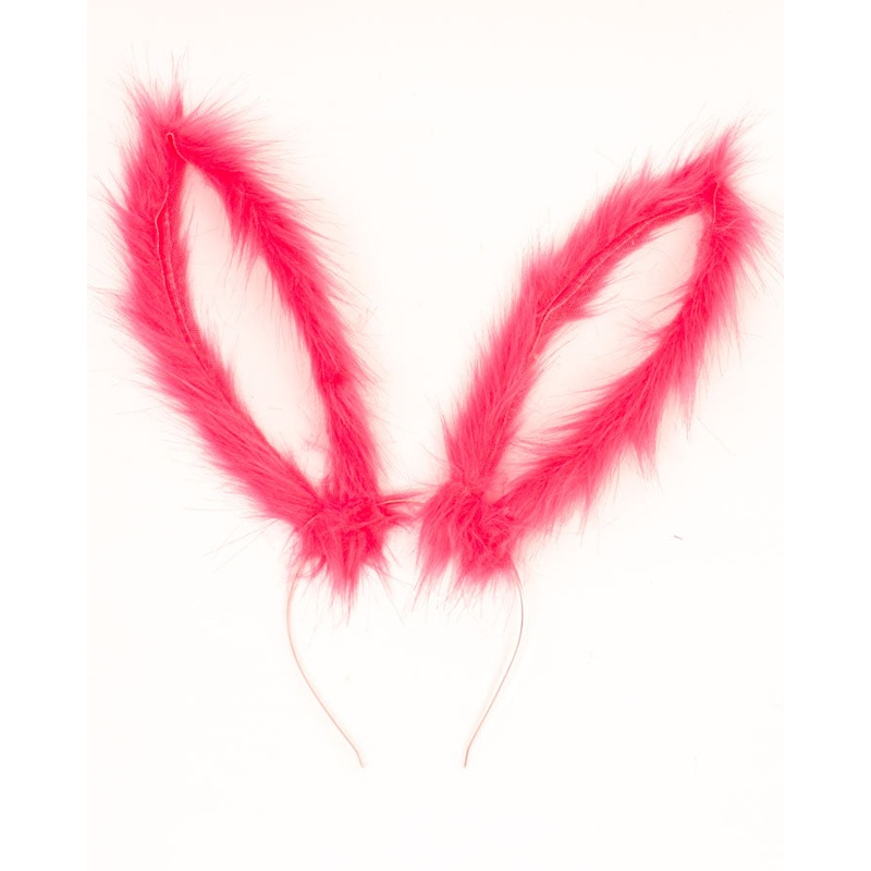 Bunny Ears with Pink Plush and Netting