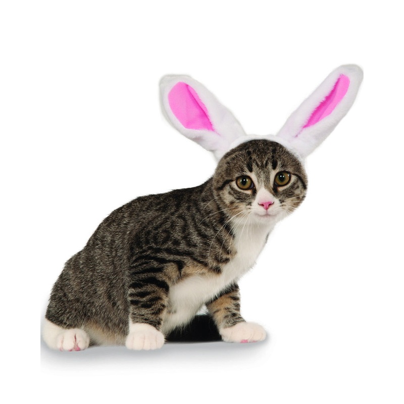 Bunny Ears Pet Headband