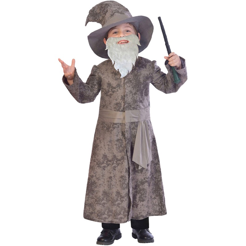 Grey Wise Wizard Kids Costume