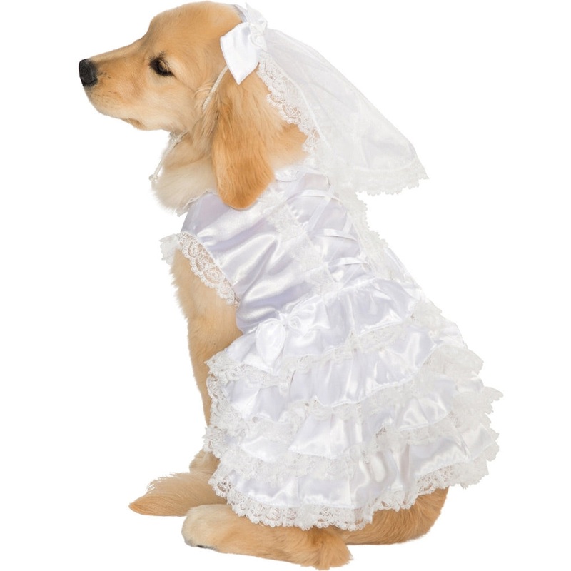 Bride Pet Costume