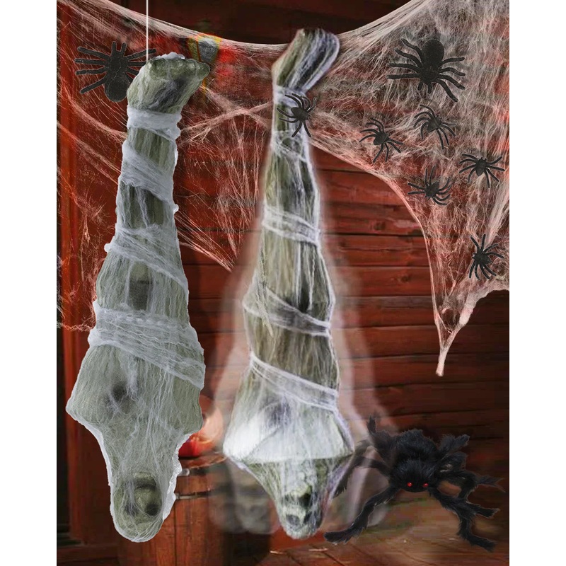 Outdoor House Spider Kit