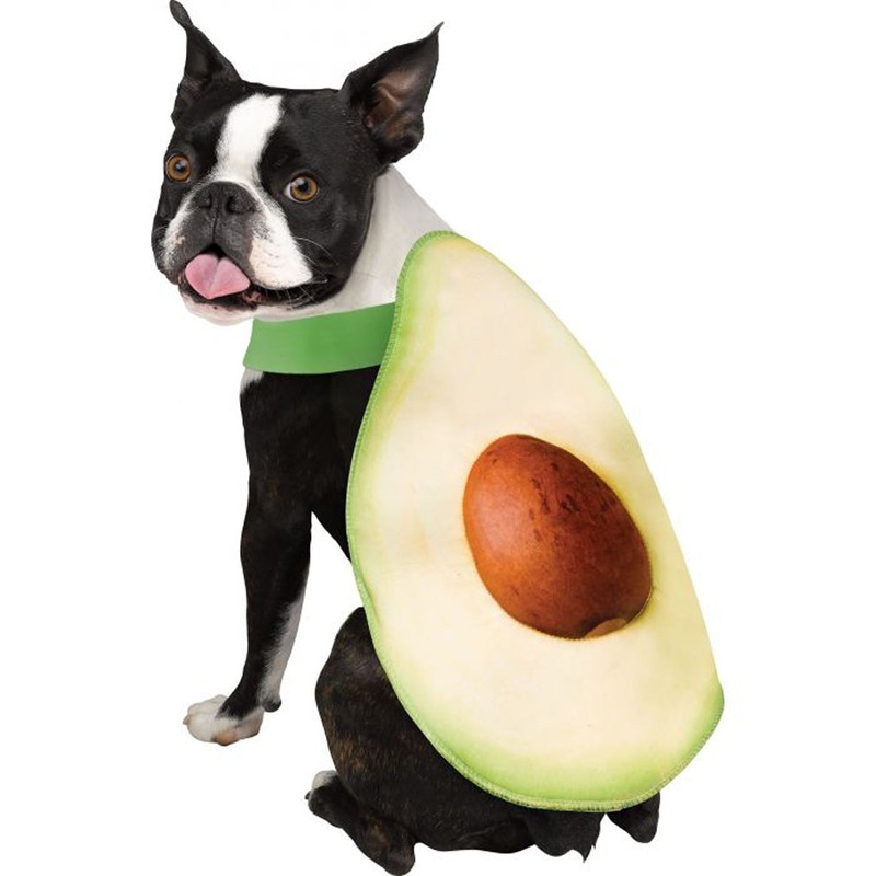 Avocadog Pet Costume