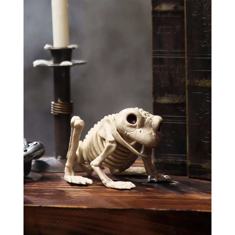 Frog Skeleton