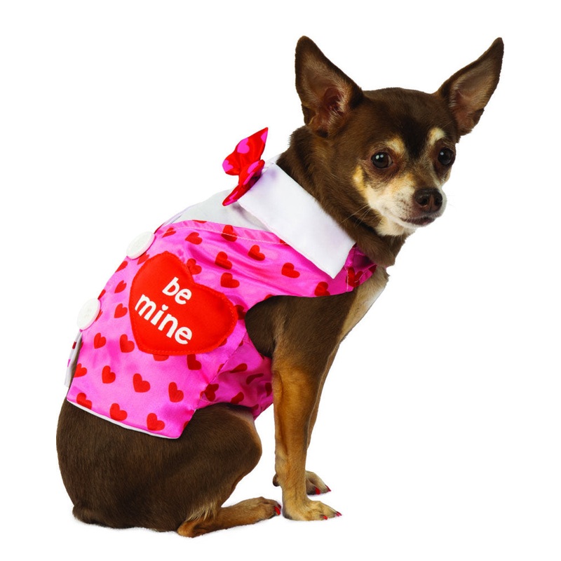 Valentines Day Sweetheart Vest Pet Costume
