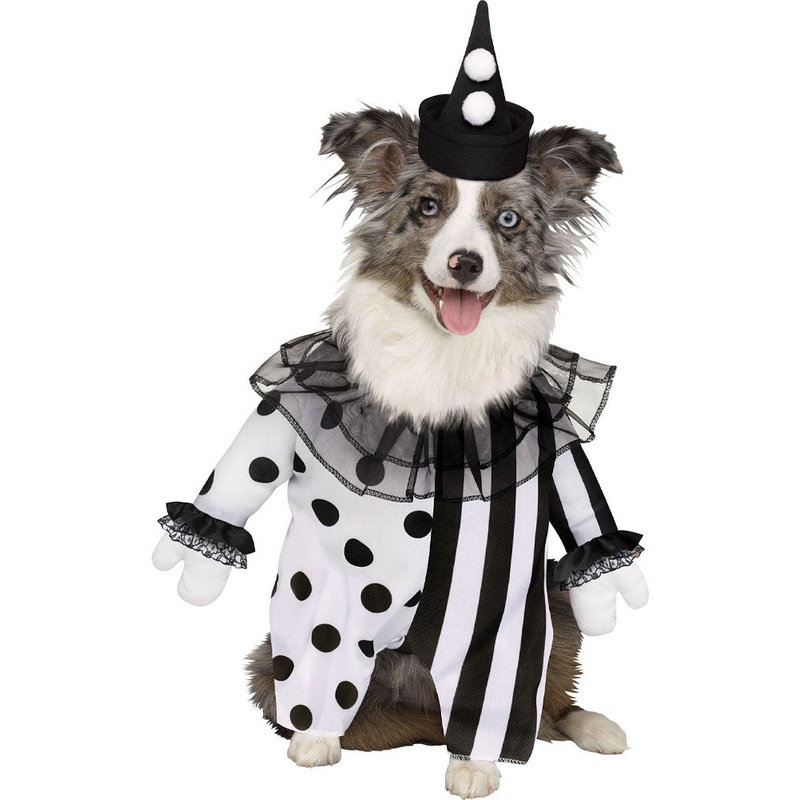 Killer Clown Pet Costume
