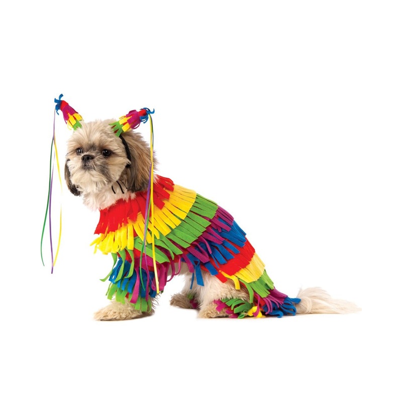 Pinata Pet Costume