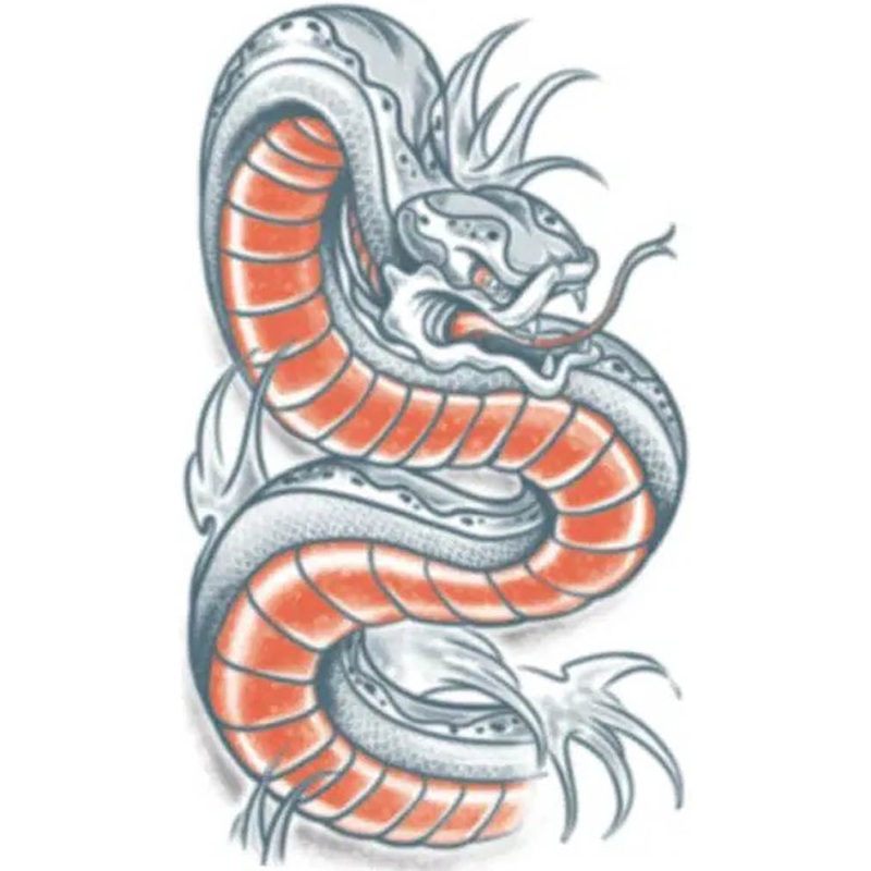 Snake Temporary Tattoo
