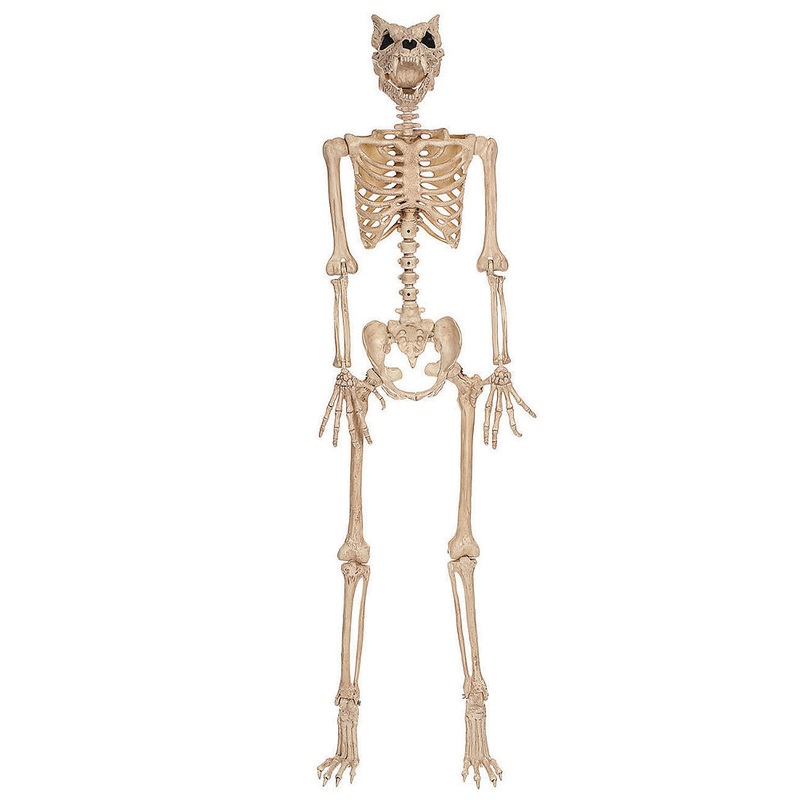 Werewolf Pose N Stay Skeleton 1.5m