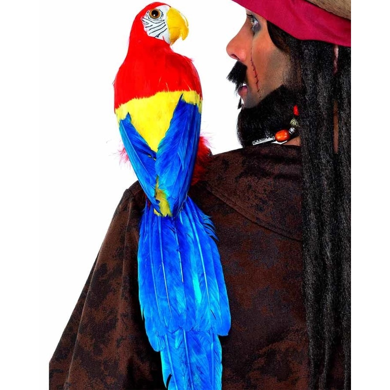 Pirate Parrot Prop