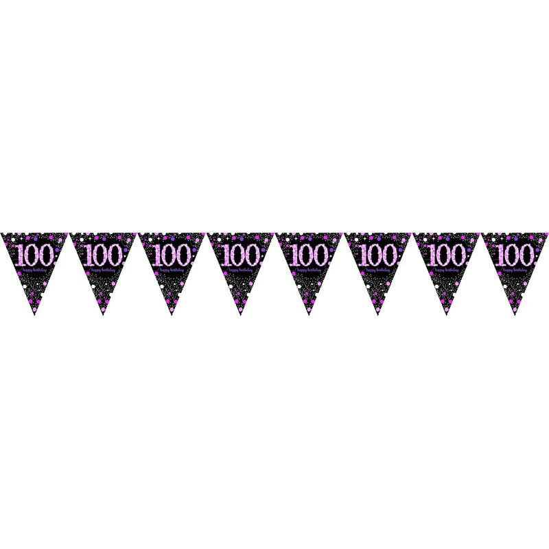 Pink Celebration 100 Prismatic Pennant Banner – Plastic
