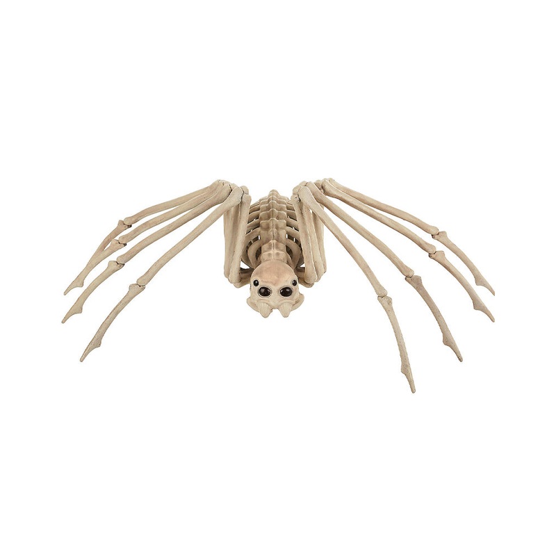 Spider Skeleton Prop