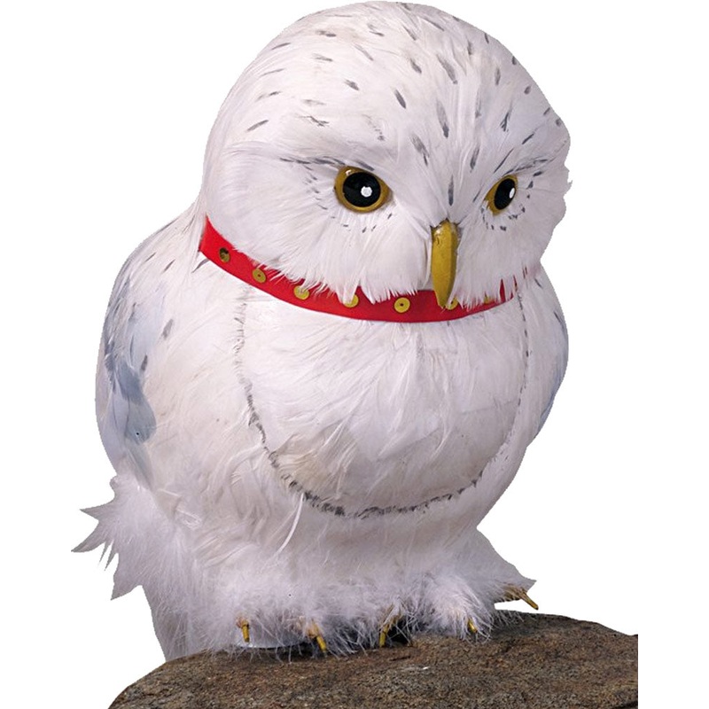 Harry Potter Hedwig The Owl Prop