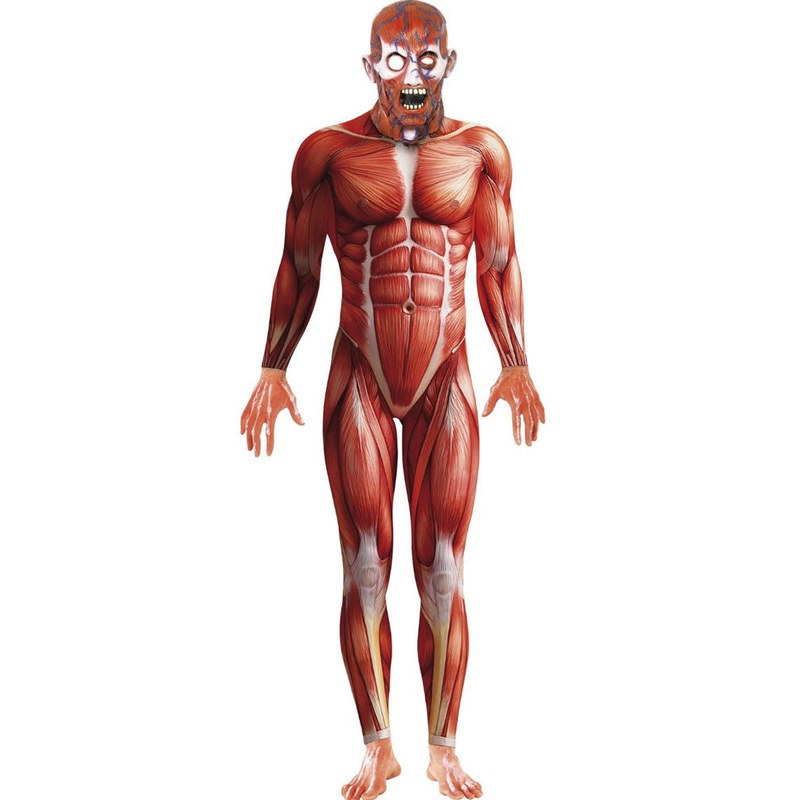 Anatomy Man Mens Costume