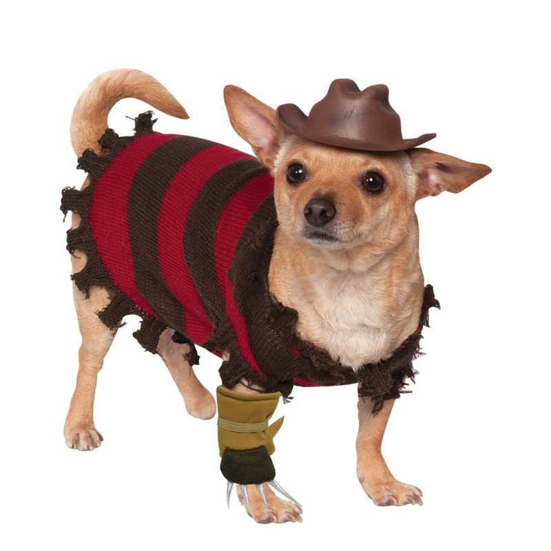 Freddy Krueger Pet Costume