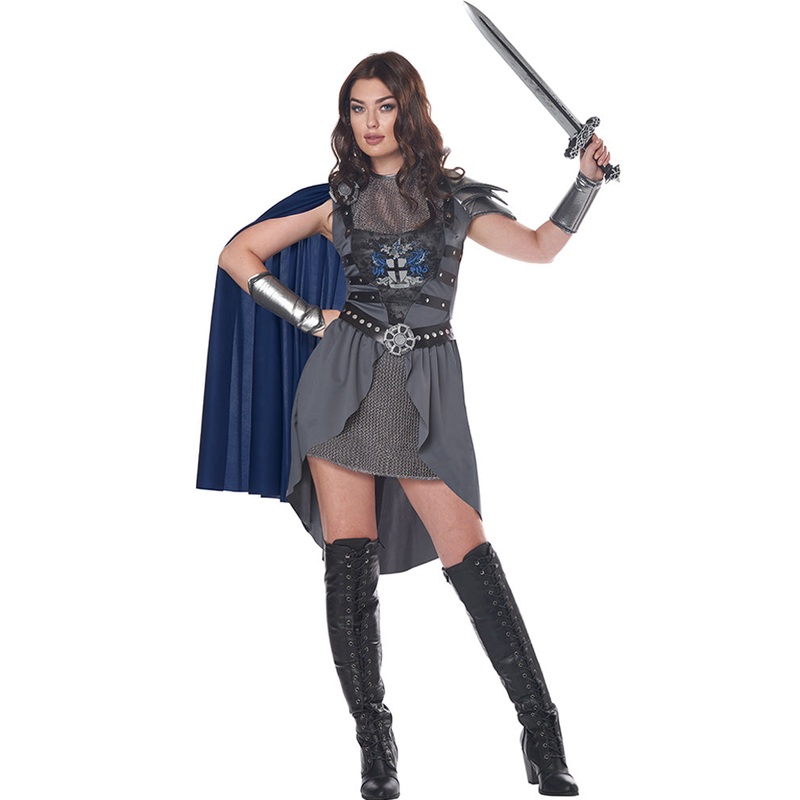 Lady Knight Womens Costume