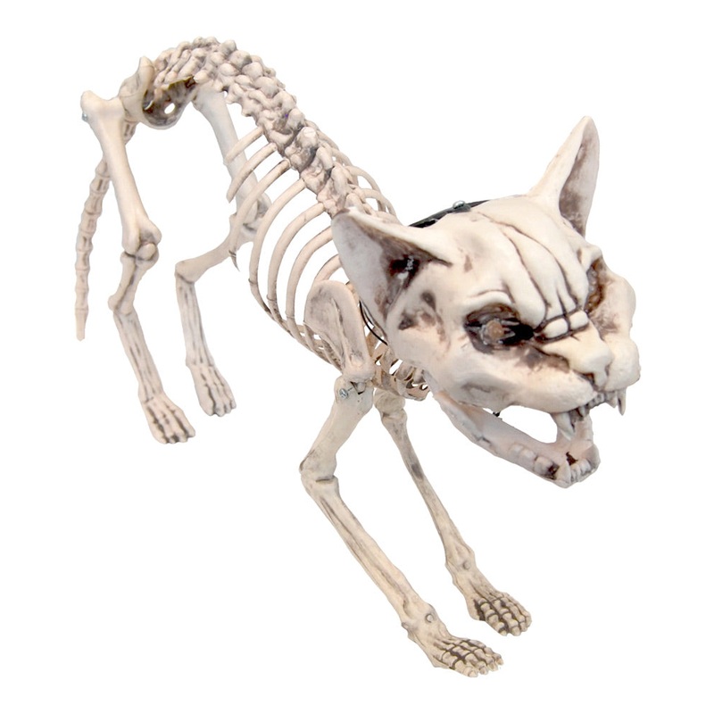 Screaming Skeleton Cat With Light Up Eyes