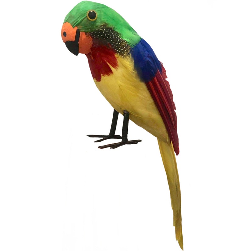 Feathered Pirate Parrot Prop