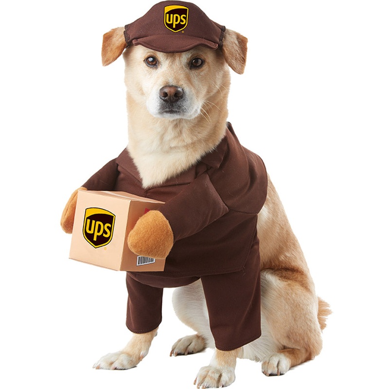 UPS Pal Pet Costume