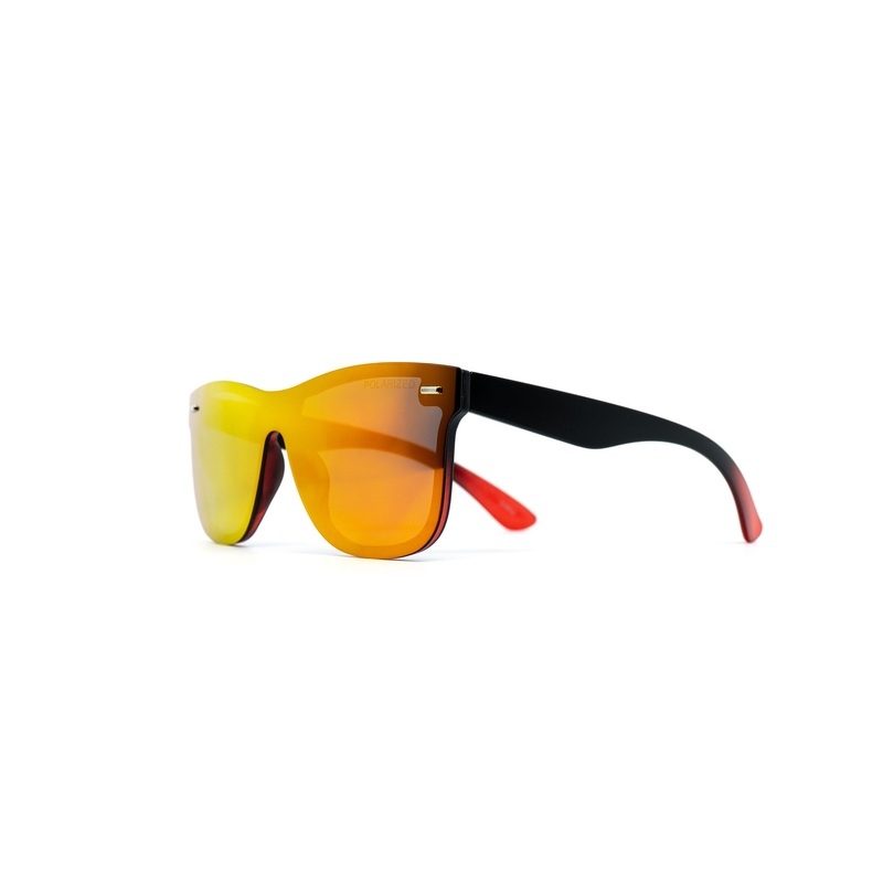 Roshi V2 – Polarized