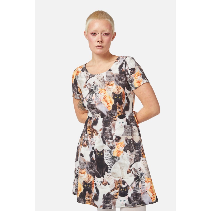 Catnip Skater Dress