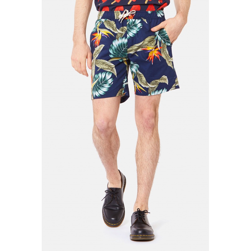 Bird Of Paradise Trunk