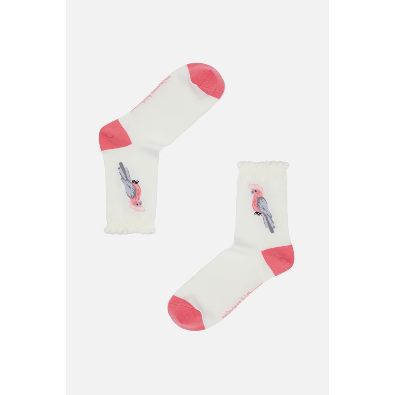 Galah Socks