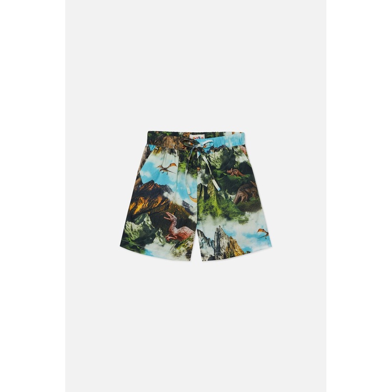 Triassic Kids Shorts