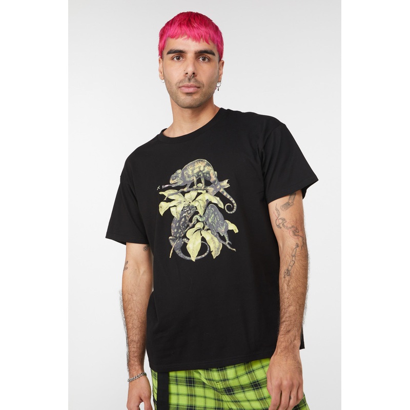 Chameleon Cotton Boxy Tee