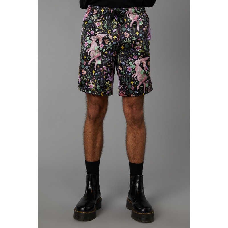 Into The Woods Trunk