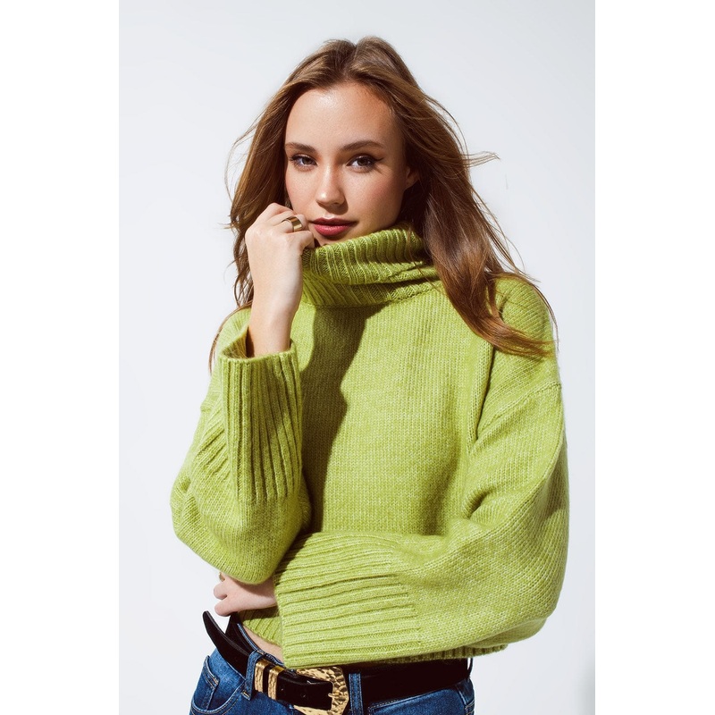 Cropped Chunky Knit Sweater With Turtle Neck In Green