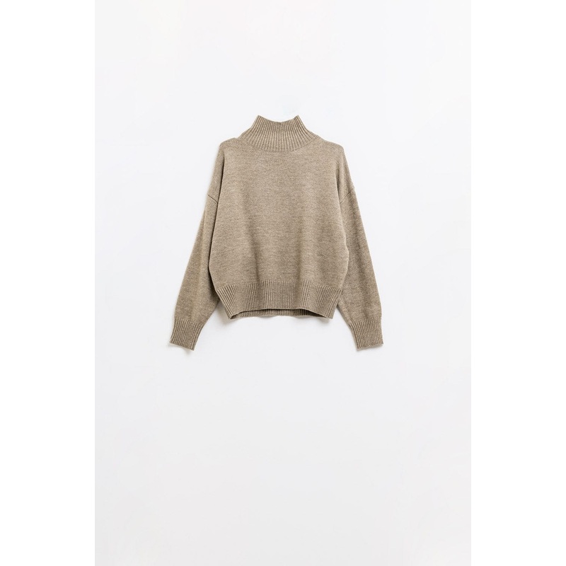 Chunky Knit Sweater In Beige With Turtleneck