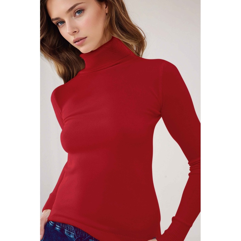 Fine Knit High Neck Jumper In Wine Color