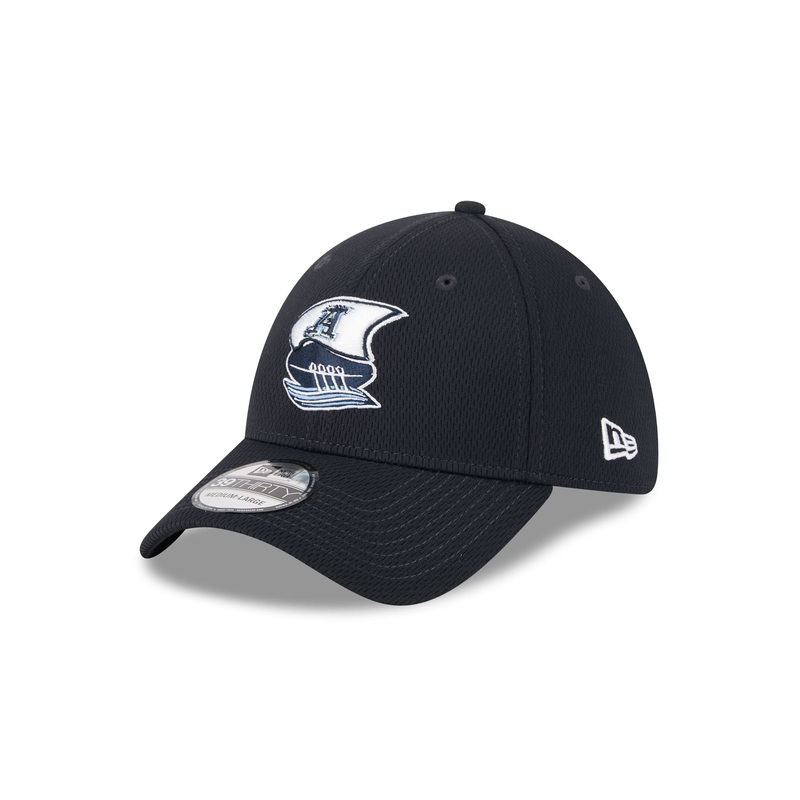 Toronto Argonauts Rear Wordmark 39THIRTY Stretch Fit Hat