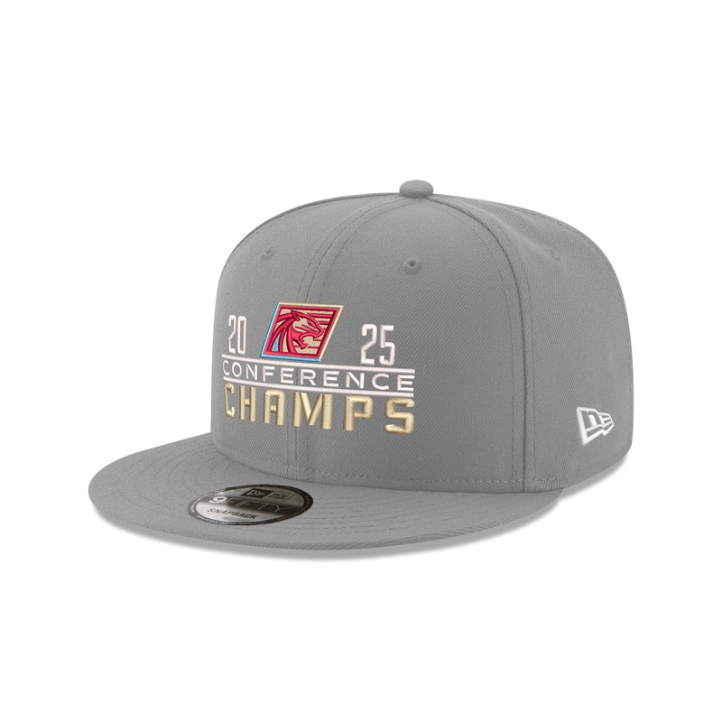 Michigan Panthers Conference Champions 9FIFTY Snapback Hat