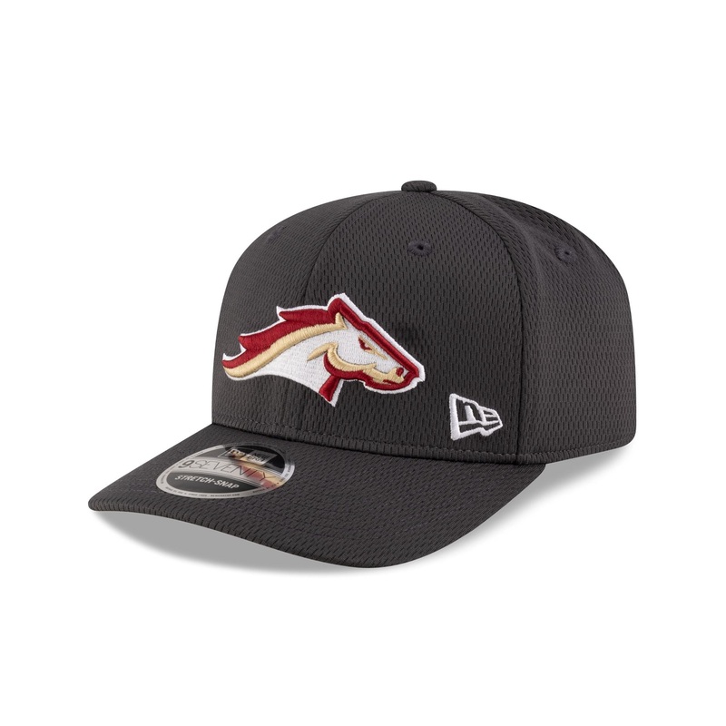 Birmingham Stallions Gray 9SEVENTY Stretch-Snap Hat