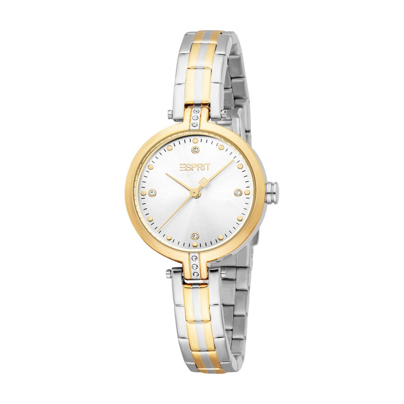 Women Samara Two Tone Watch