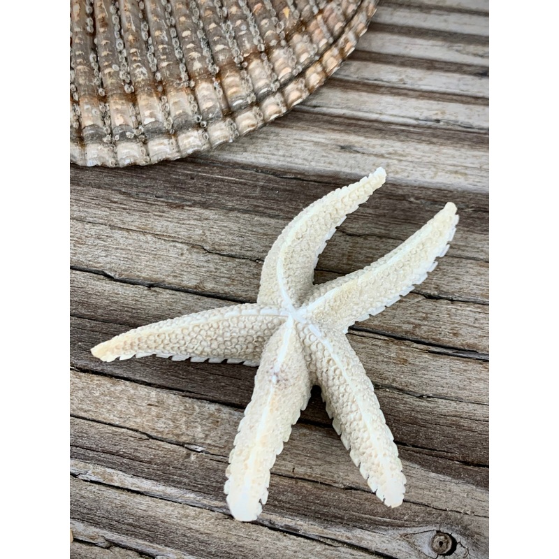 Starfish
