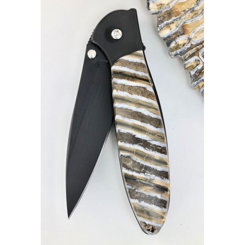 Kershaw 1660CKT w/ Mammoth Tooth