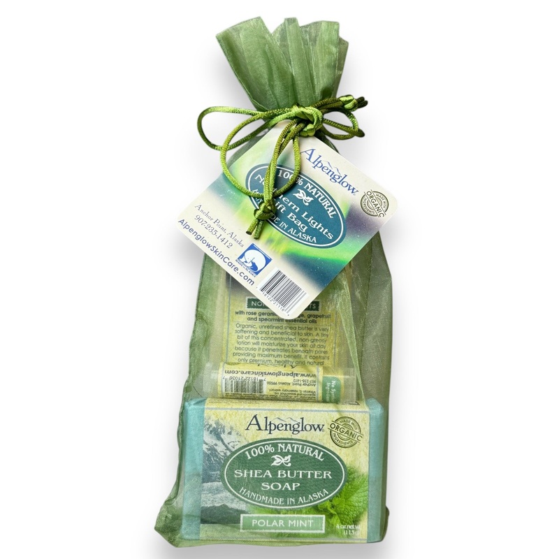 Northern Lights Gift Bag