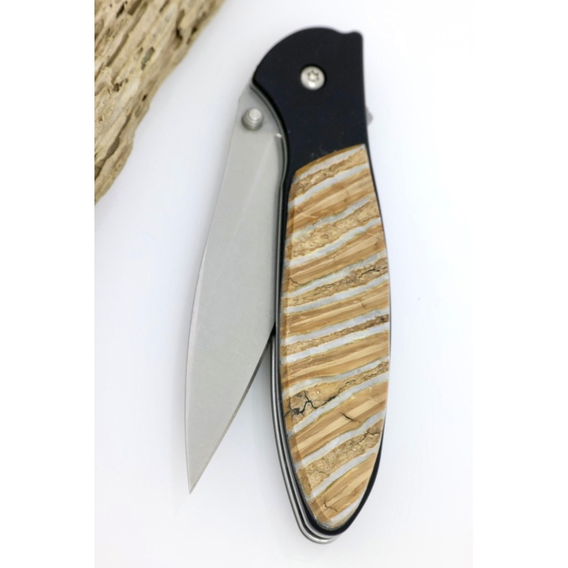 Kershaw 1660SWBLK w/ Mammoth Tooth