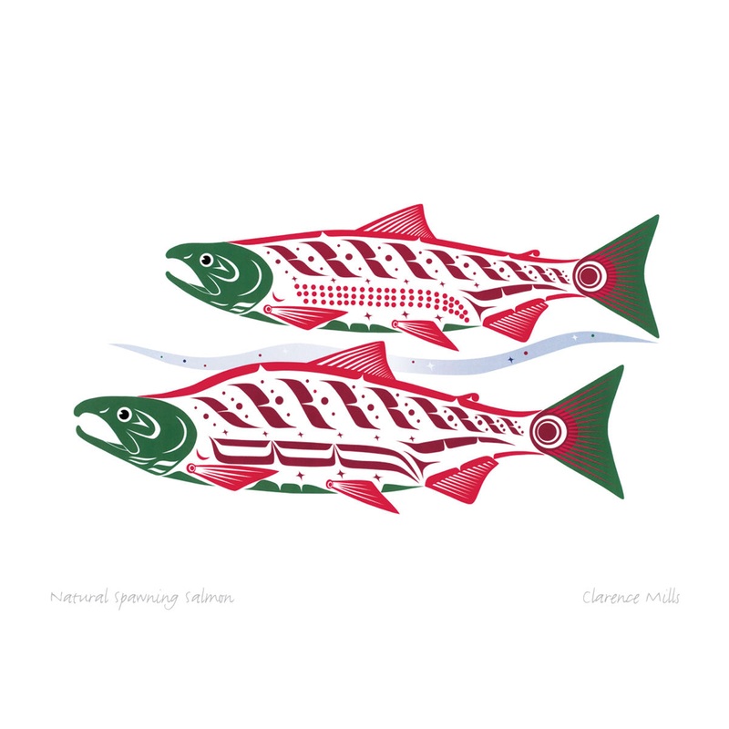 Spawning Sockeye