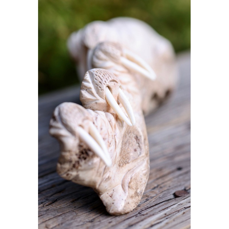 Walrus Jawbone