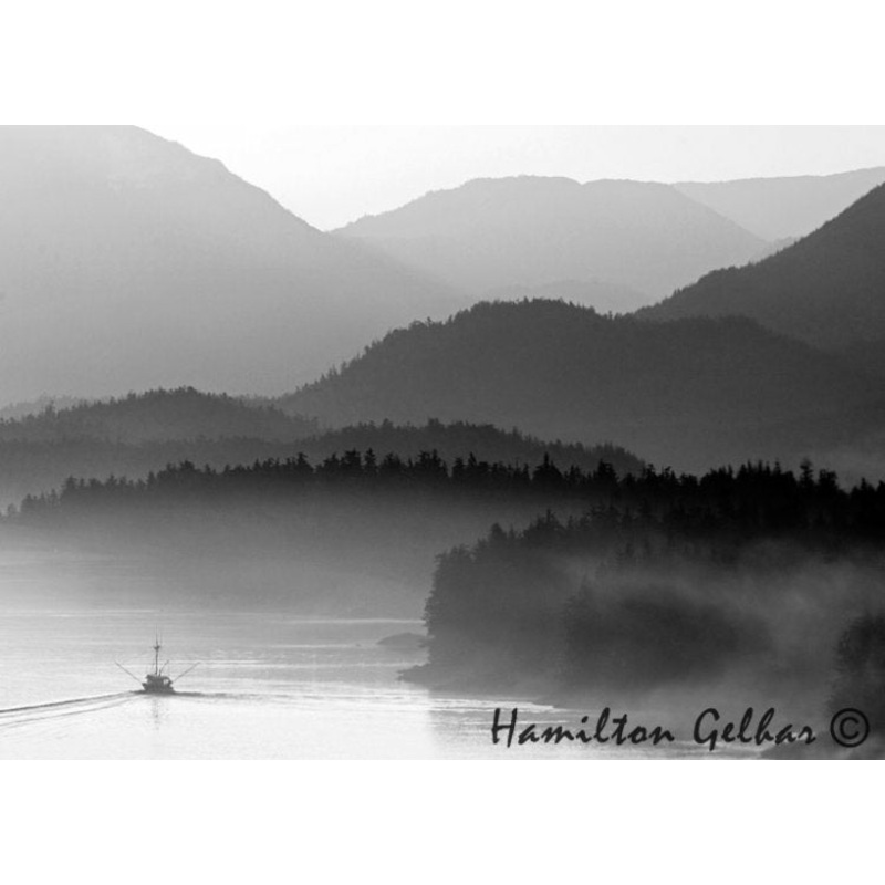 Misty Morning Metal Print