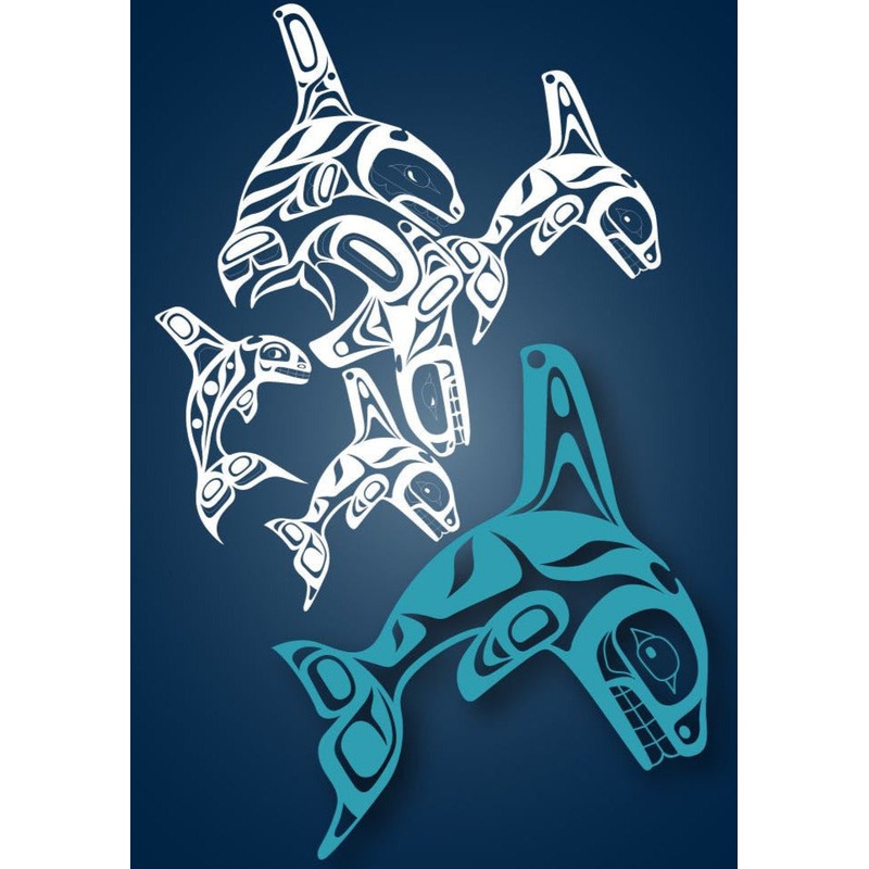 Orca Family Postcard