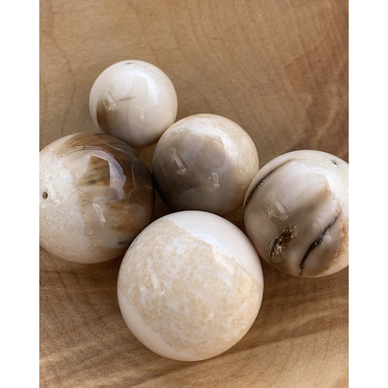 Walrus Ivory Beads